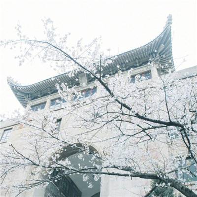超爆假传奇手游下载